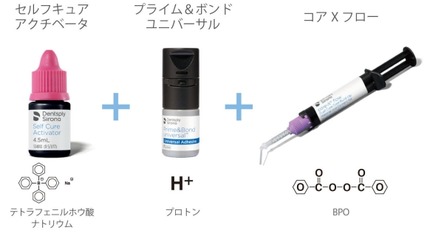デンツプライセルフキュア