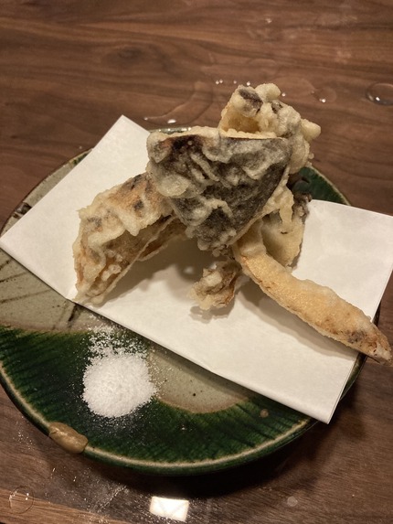 umPv9plZTQCcE4p6JuJAZQ