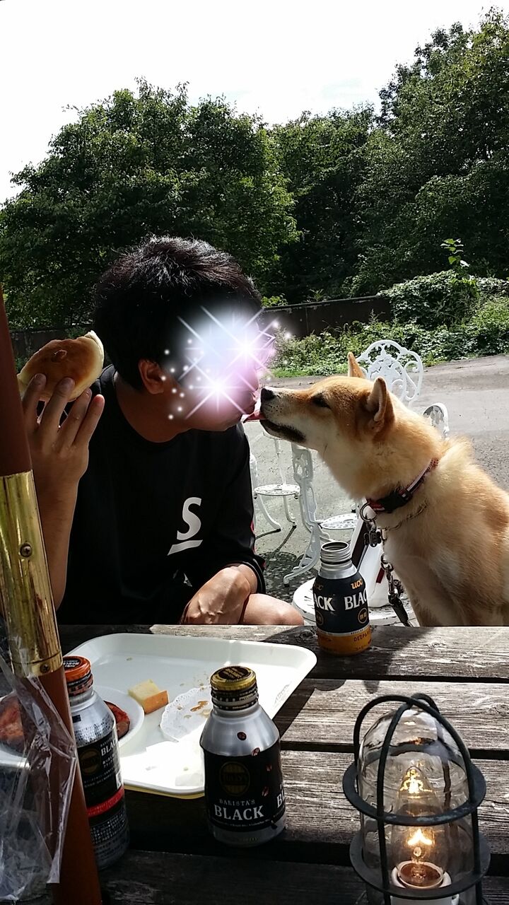 あの頃きみは若かった 那須高原 保護犬兄弟と日本全国犬連れ旅行 あの頃きみは若かった 那須高原 保護犬兄弟と日本全国犬連れ旅行