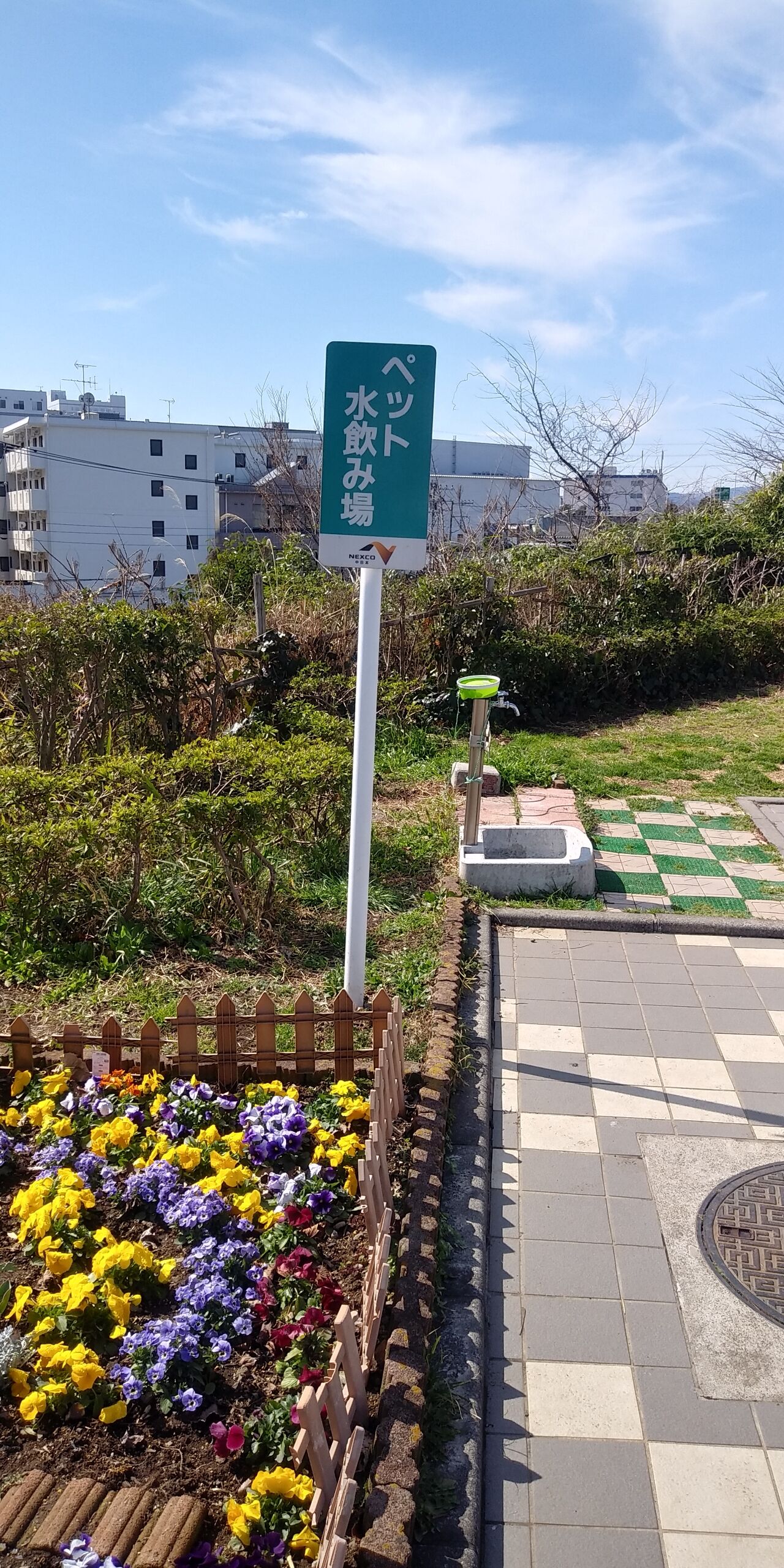 高尾山登山 保護犬兄弟と日本全国犬連れ旅行 高尾山登山 保護犬兄弟と日本全国犬連れ旅行