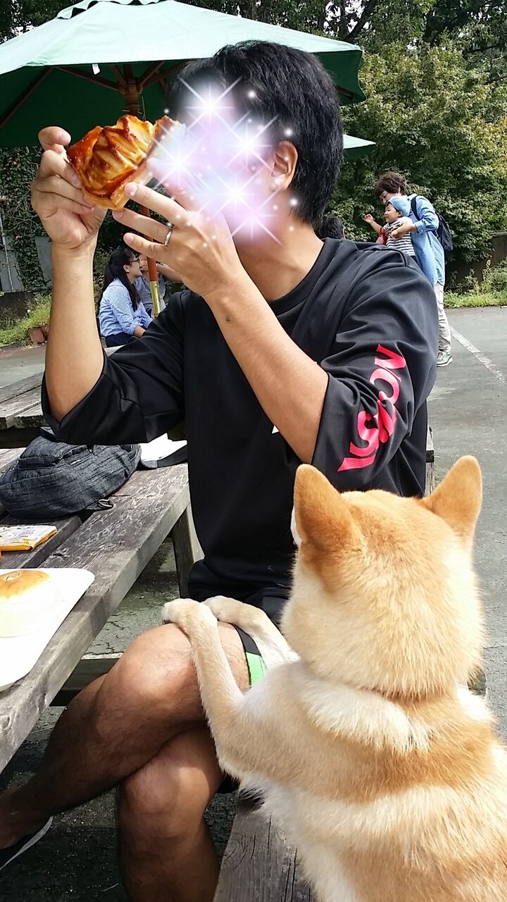 あの頃きみは若かった 那須高原 保護犬兄弟と日本全国犬連れ旅行 あの頃きみは若かった 那須高原 保護犬兄弟と日本全国犬連れ旅行