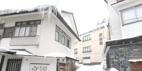 DSC_1433 (1000x500)