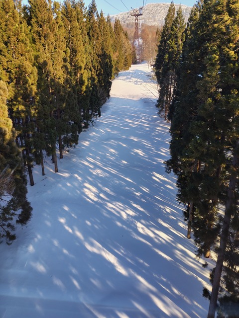 shadow