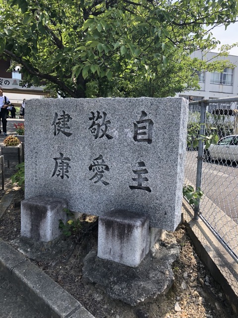 S__21782559
