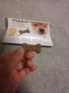 フィラリア予防の開始で す ちま子の日記