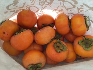 11月28日ラミちゃんの柿