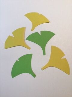 いちょうの葉っぱ