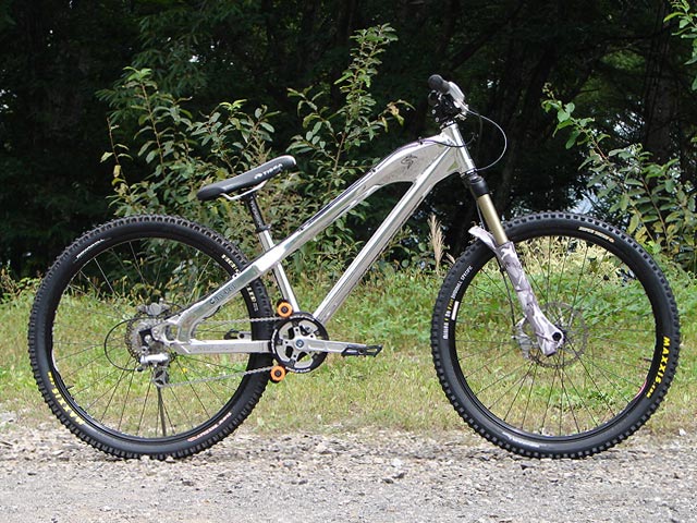 カラーオーダー 自転車 高すぎる