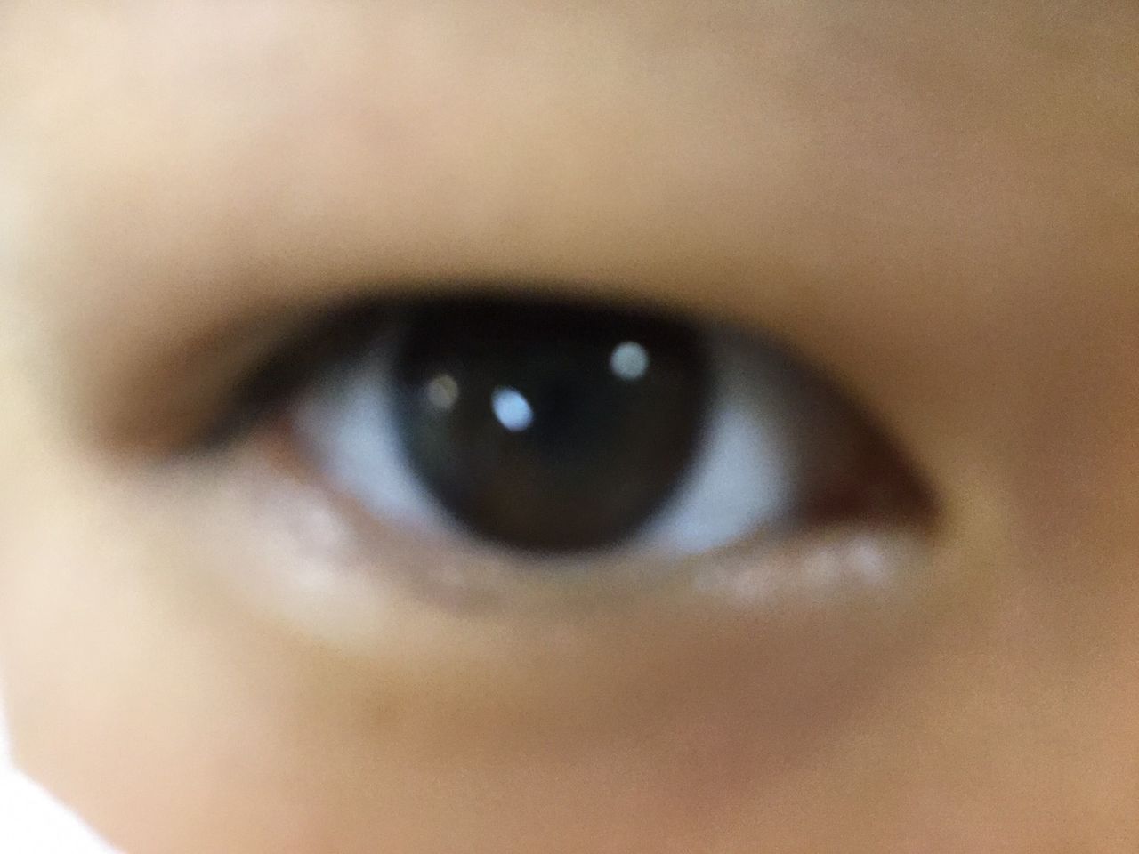 生歌to目 : Do夢どうよ