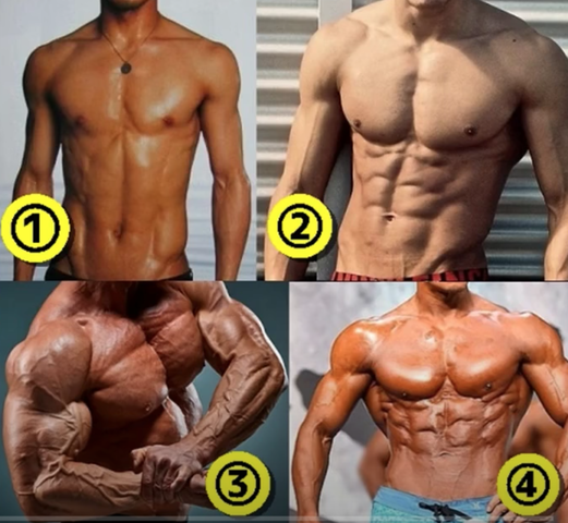 日本は腹筋割れてればガリガリでもマッチョ扱い ベストボディニュース