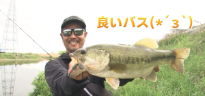 kanamo01-520x245