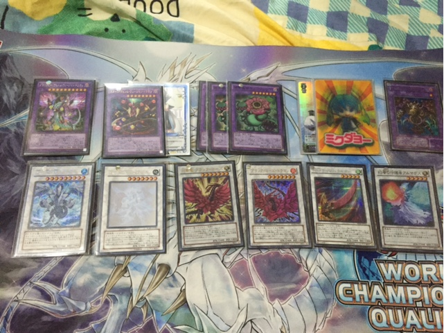 カウンターでジリジリ攻めろ 捕食植物デッキ 艦これ次元の決闘者