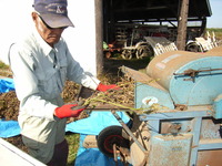 ��Ʀ��æ��