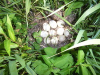 �������