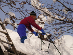 ����������Ȥ�