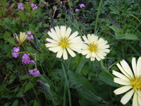 ���������Х�