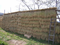 はさかけ完成まじか