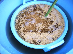 �������餤