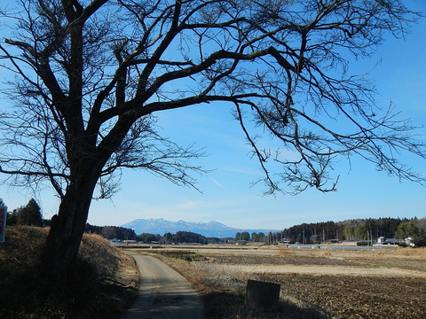 喜連川丘陵・散策20130217_019