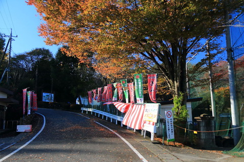 栃木県大田原市（大田原御殿山公園公園と雲厳寺、そして琵琶池）紅葉の名所とコハクチョウの舞い～ぃ！