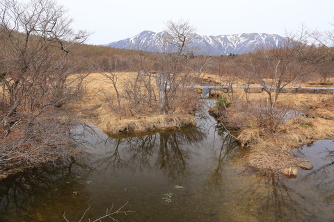 那須20170509_111