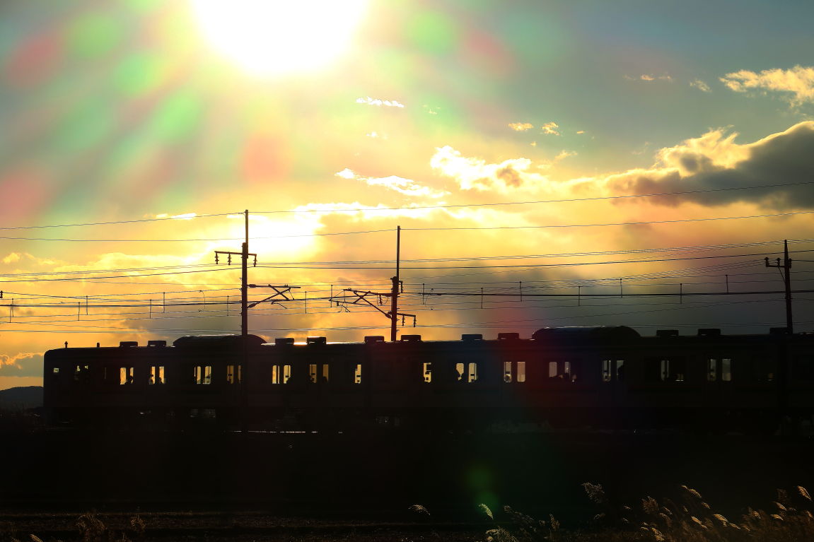 夕焼け散歩 愛犬たちと影遊び 夕日の見える丘にて みちくさんぽ 人生道草散歩 夕焼け散歩 愛犬たちと影遊び 夕日の見える丘にて みちくさんぽ 人生道草散歩