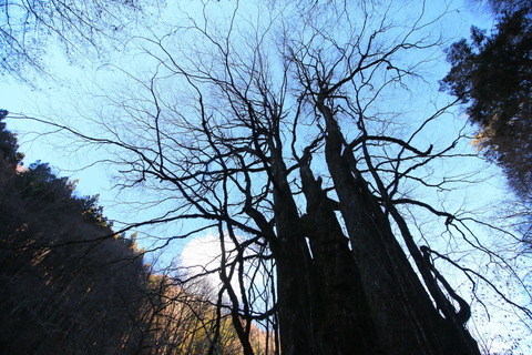 高原山山塊20161216_188