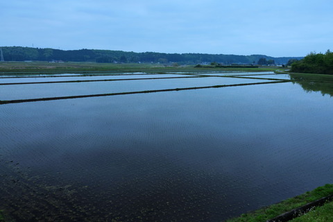 あさんぽ！（R07.05.01）