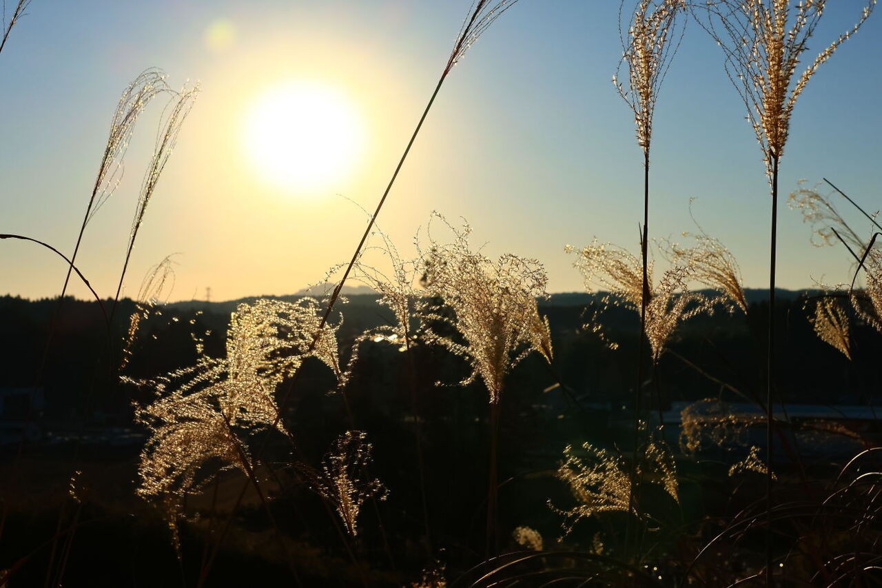夕焼け散歩”（R08.01.10：今日一日を感謝した夕日！） : みちくさんぽ 