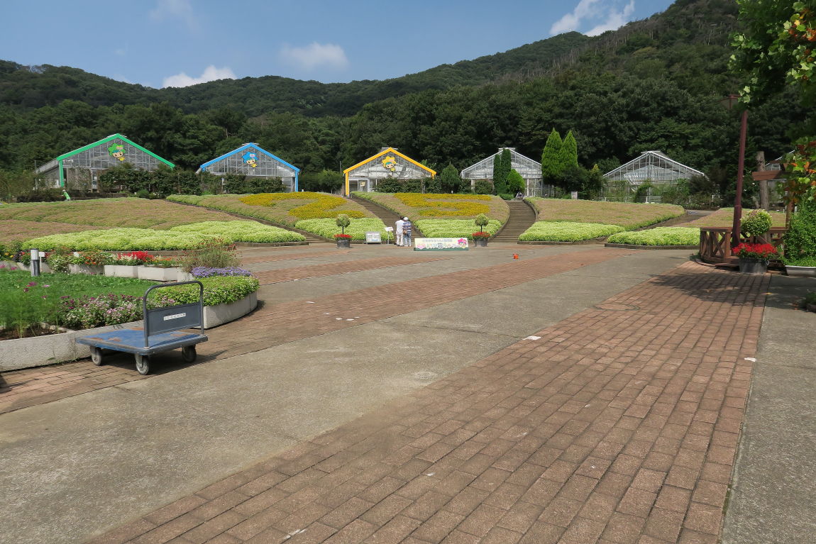 とちぎ花センターで 熱帯のお花と戯れる みちくさんぽ 人生道草散歩