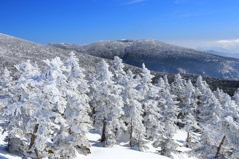 西吾妻山_19.02.22_406