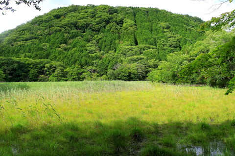 546_高原山山塊_2022.08.02