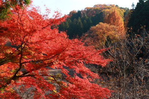 古賀志山_333_2022.11.18