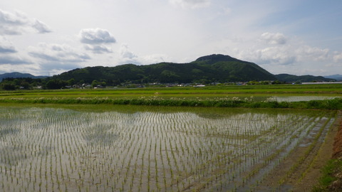 羽黒山20120523_001