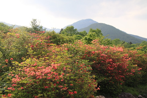 高原山塊_20120604_240