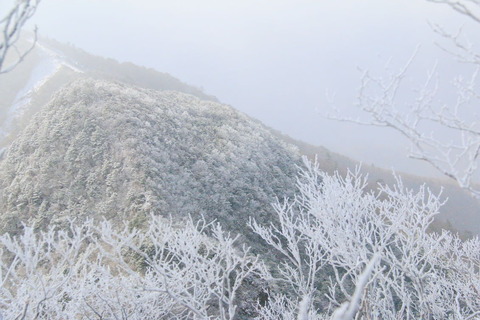 高原山_18-12-09_0246