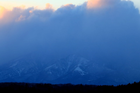 里山散歩_246_2023.01.30