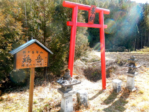 初冬の山にて、日光連山を望む