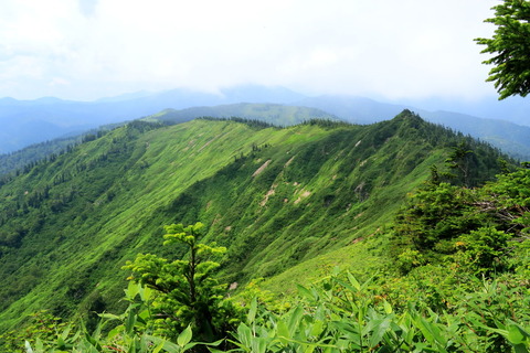 584_会津駒ケ岳_2022.08.09