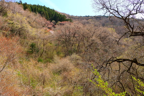 高原山山塊_21.04.08_517