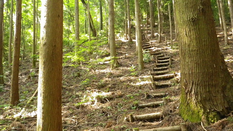 羽黒山20120523_033