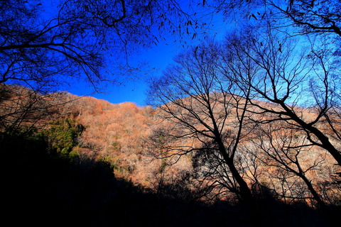 高原山山塊20161216_129