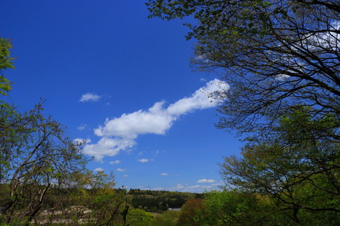 高原山塊_21.04.26_289