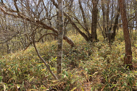 裏八溝_21.04.30_373