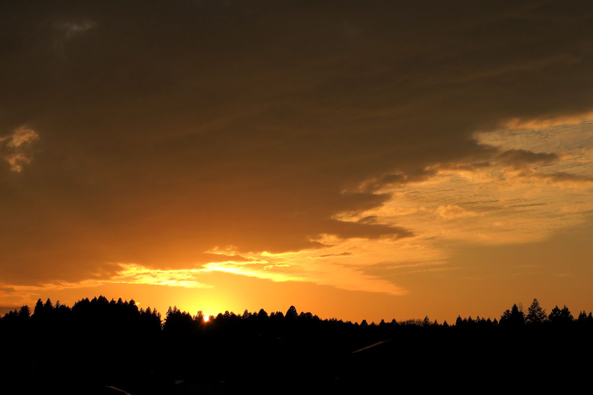 夕焼け散歩(R02.12.02) : みちくさんぽ♬(人生道草散歩) 夕焼け散歩(R02.12.02) : みちくさんぽ♬(人生道草散歩)