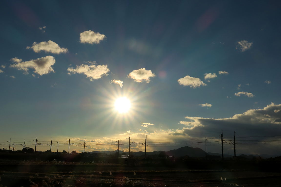 夕焼け散歩 愛犬たちと影遊び 夕日の見える丘にて みちくさんぽ 人生道草散歩 夕焼け散歩 愛犬たちと影遊び 夕日の見える丘にて みちくさんぽ 人生道草散歩