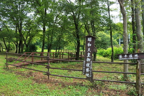 笹平湿地でおさんぽ🐾。なにげない空間は生き物たちでいっぱい！