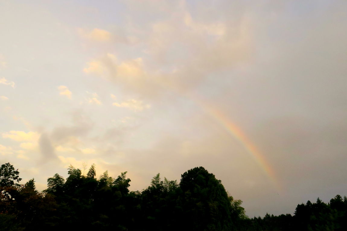 夕暮れの虹色散歩 里山の森 みちくさんぽ 人生道草散歩