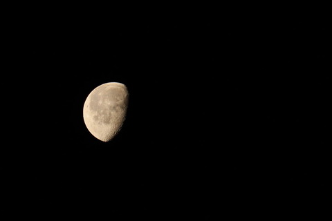 里山散歩_021_2023.01.13