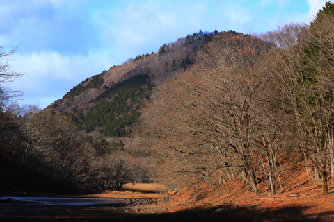 大沼公園_20.12.13_349